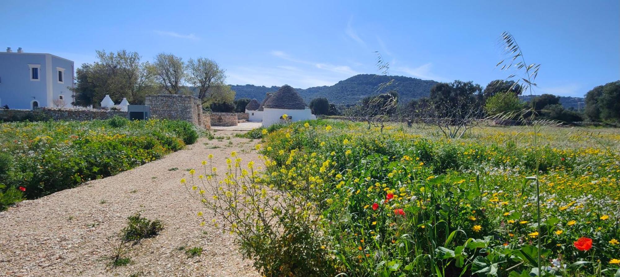 Bauernhof Masseria Celeste *