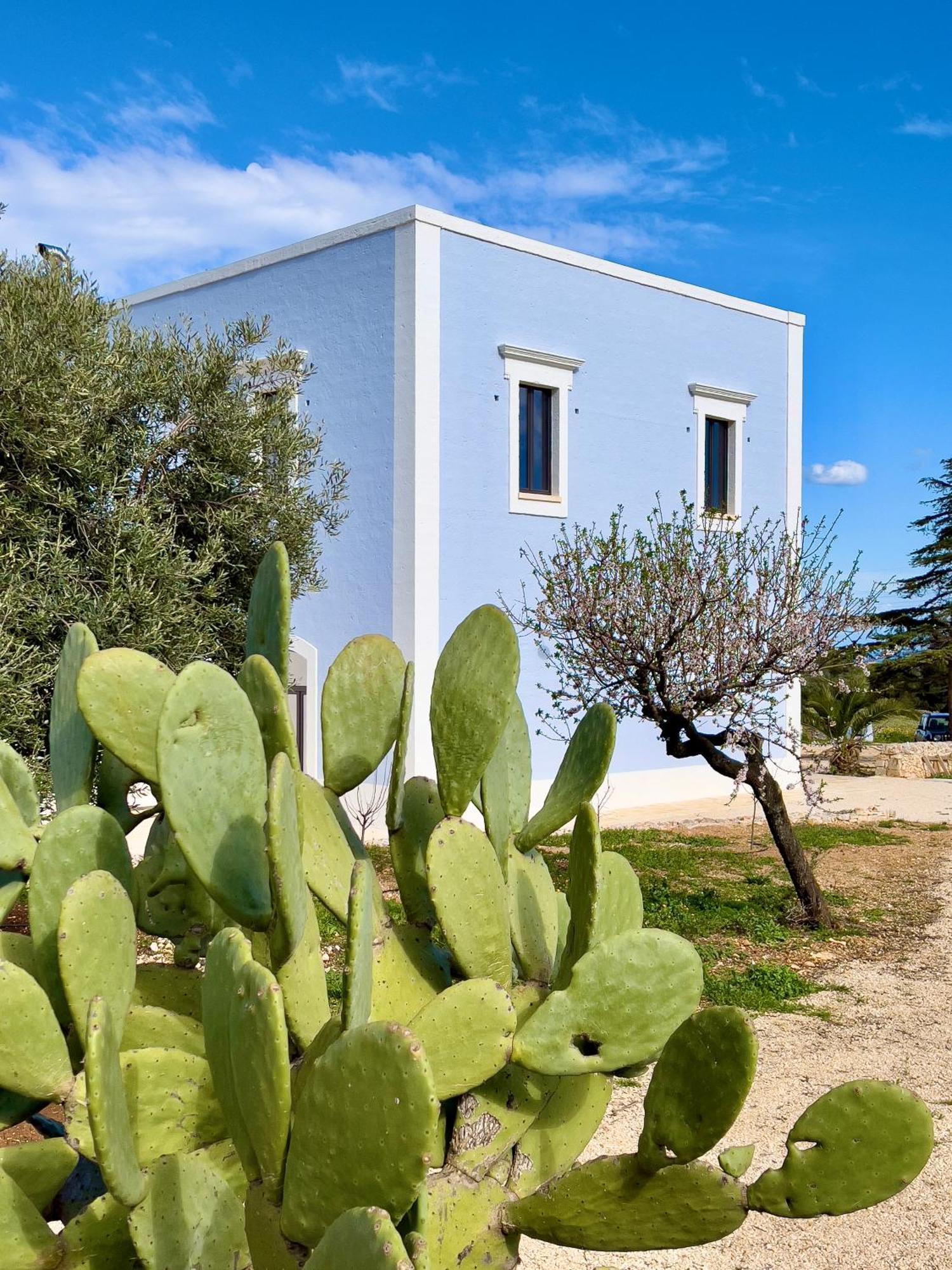 Masseria Celeste Fasano