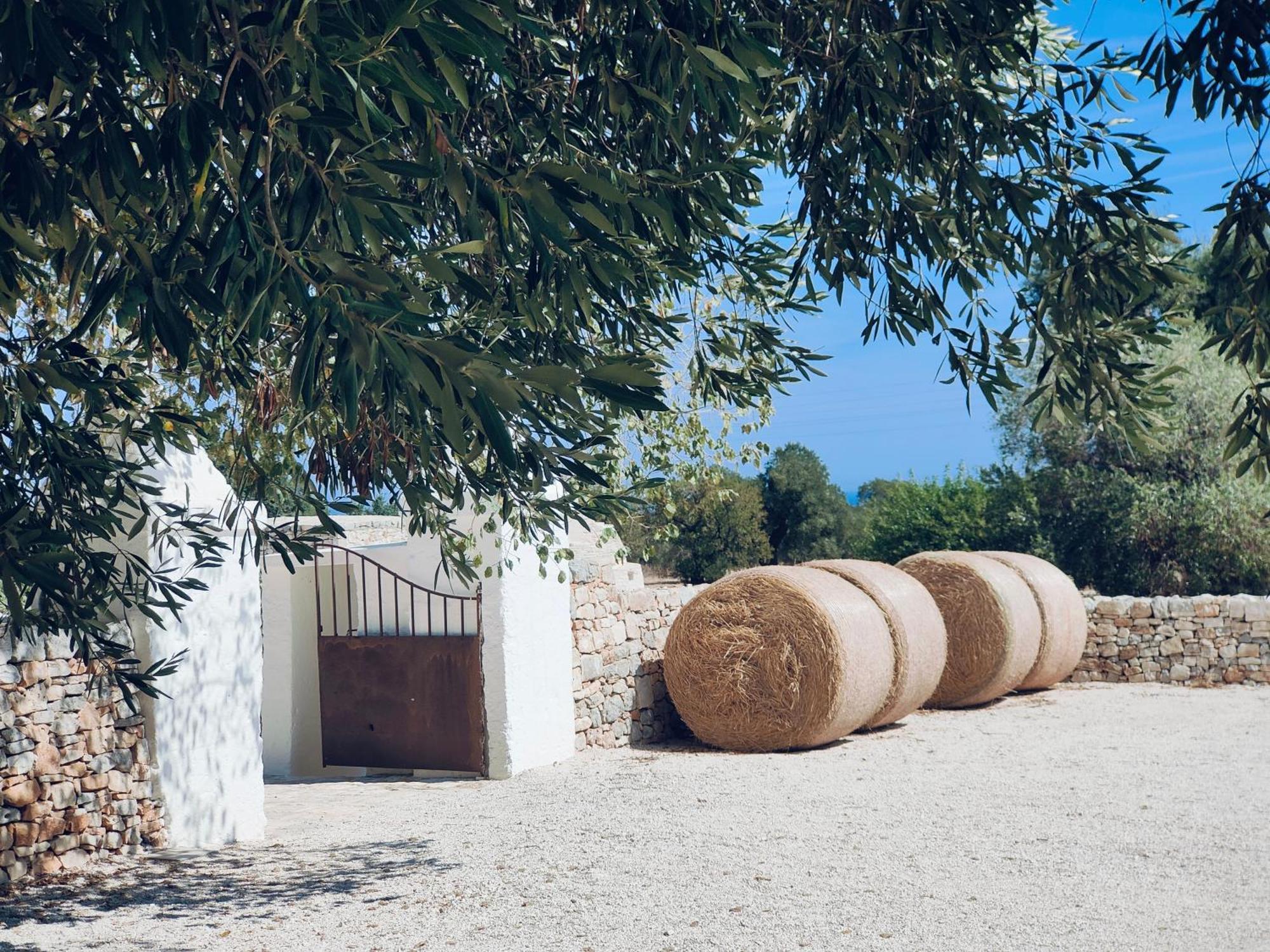 Masseria Celeste Bauernhof *