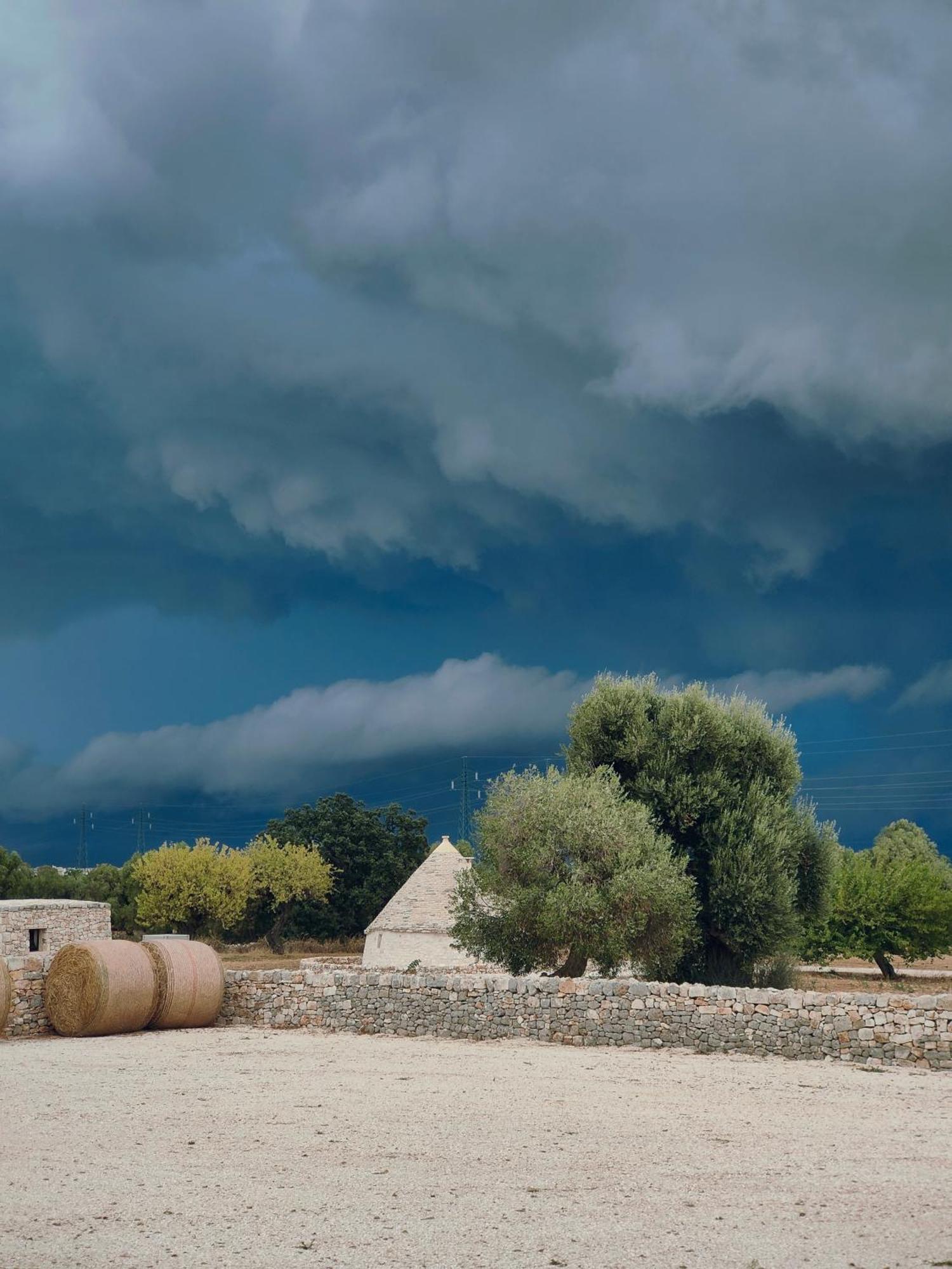 Masseria Celeste Bauernhof Fasano